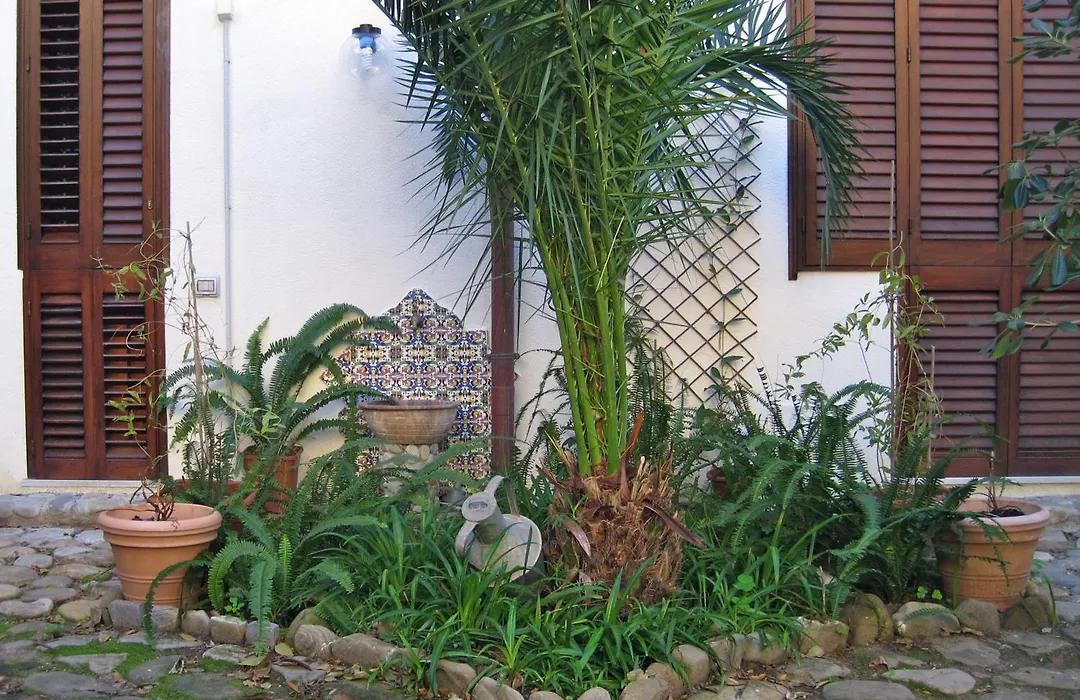 Lirma B&B-1