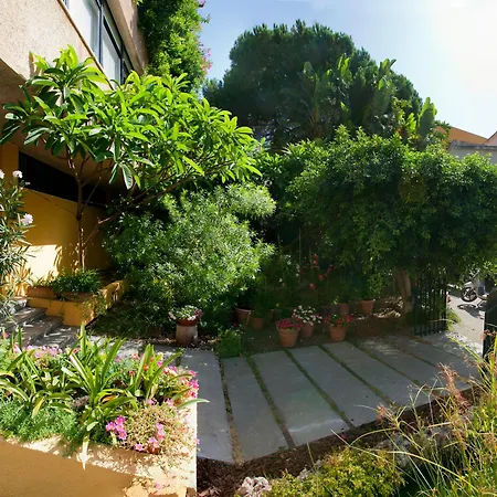 Lirma B&B-3